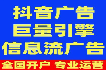 XX行业竞价广告的投放策略与效果分析